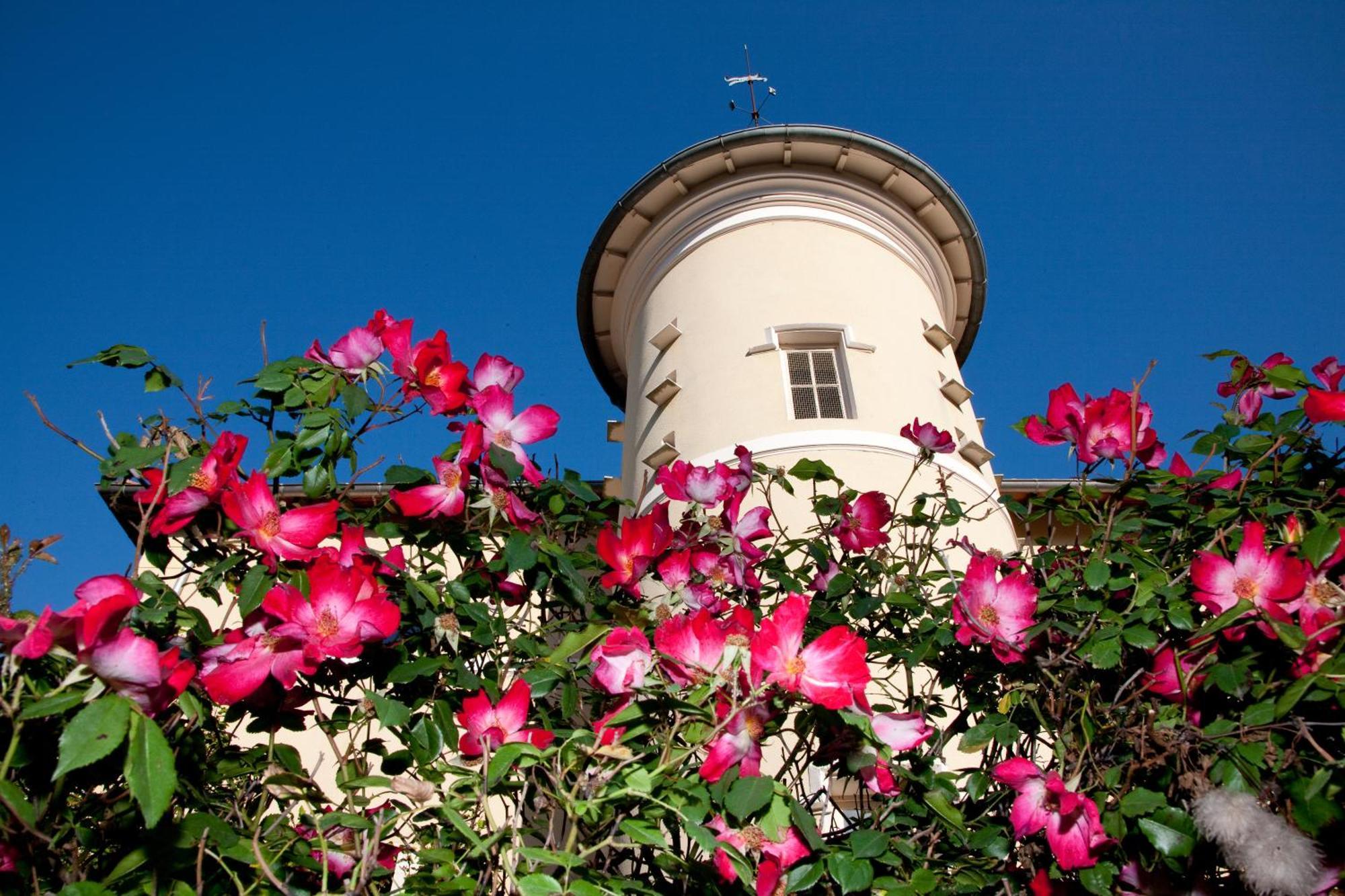 Chateau De Bellevue B&B Villié-Morgon Екстериор снимка